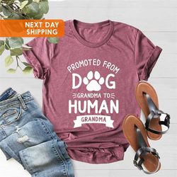 promoted from dog grandma to human grandma shirt, baby announcement shirt, funny grandma gift, grandma shirt, pregnancy