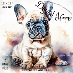 a  french bulldog puppy digital illustrations, printing dog. cute and playful characters. digital download