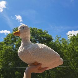 big duck amigurumi plush yarn animal pillow plushie