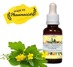 organic celandine (chelidonium majus) tincture top quality, max strength