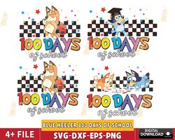 blue heeler 100 days of school svg, back to school svg, digital download