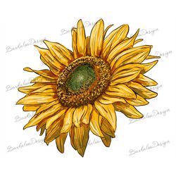 sunflower png sublimation design, sunflower png, sunflower clipart, sunflower sublimation, sunflower, western sunflower