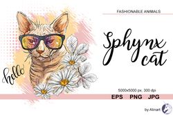 cool sphynx cat in flowers