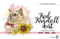 red ragdoll cat with flowers illustration