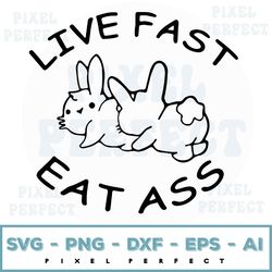 Funny Rabbit Svg, Sarcastic Svgs, Humorous Svg, Funny Sarcasm Svg, Dirty Jokes Svg, Live Fast Eat Ass Svg