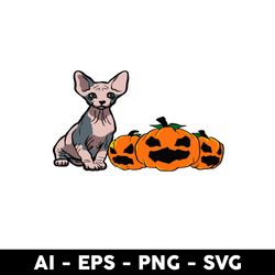sphynx cat pumpkin svg, sphynx cat, cat svg, pumpkin svg, halloween svg - digital file