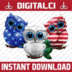 Owl American Flag 4th Of July Memorial day, American Flag, Independence Day PNG File Sublimation Owl Lovers