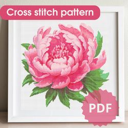 cross stitch pattern peony / cross stitch chart flower / pdf cross stitch pattern / diy gift for mom /