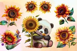 sunflower watercolor clipart png