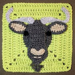 blue wildebeest granny square crochet pattern