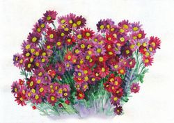 original watercolor painting flowers red chrysanthemum bouquet artwork gift hand painting 11x16 inch