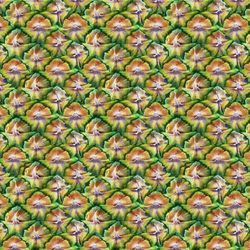 pineapple skin 22 seamless tileable repeating pattern