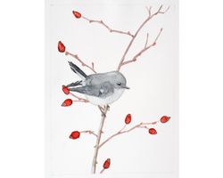 south island tomtit original watercolor painting little gray bird landscape rose hip berries artwork nursery wall art