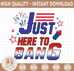 Funny 4th Of July Im Just Here To Bang USA Flag PNG, American Flag, Funny Independence Day, 4th of July Png, Patriotic