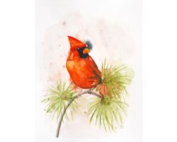 northern cardinal original watercolor painting red bird on a branch wall art small artwork abstract nursery wall decor