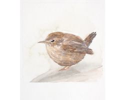 eurasian wren bird original watercolor painting little brown fat fluffy songbird wall art jenny wren nursery wall decor