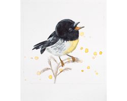 tomtit bird original watercolor painting new zealand little yellow black songbird wall art titmouse nursery wall decor