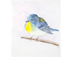 northern parula warbler bird original watercolor painting american little songbird art fluffy bird nursery wall decor