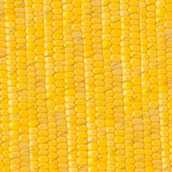 Sweet Corn 22 Seamless Tileable Repeating Pattern