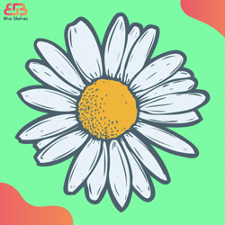 Chamomile Camomile Flower Floral Hand Drawn Svg, Flower Svg, Chamomile Svg, Camomile