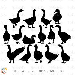 goose svg, goose silhouette, stencil template, goose cricut, goose clipart png, farm svg, pet bird svg, home decor svg