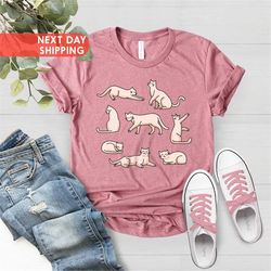 cute cat box shirt, cat shirt, cat mom shirt, cat lovers gift, crazy cat lady tee, cute cat tee, cat lovers tee, funny c