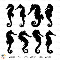 sea horse svg, sea horse cricut, sea horse stencil template, laser cutting file, clipart png, sea animal svg