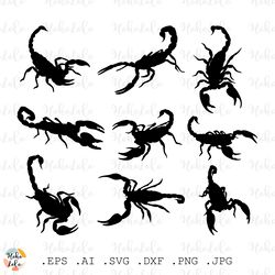 scorpion svg, scorpion silhouette, scorpion stencil template, cricut svg, clipart png, laser cutting