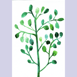 watercolor green botanical floral tree painting // watercolour botanic sketch wall art