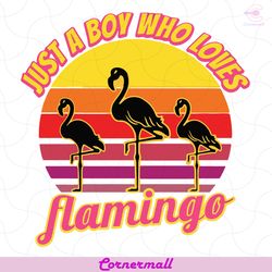 just a boy who loves flamingo svg, trending svg, flamingo svg, boy loves flamingo, boy svg, cute flamingo svg