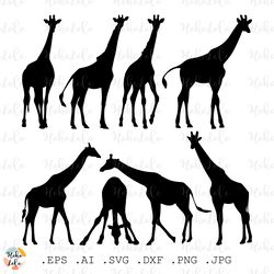 giraffe svg, giraffe silhouette, giraffe cricut, giraffe stencil dxf, giraffe clipart png, animals svg