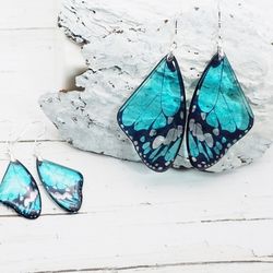 turquoise butterfly wing earrings stylish unique gift for her cute enchanted bohemian women accessory whimsical jewelry