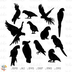 parrot svg, parrot silhouette, parrot cricut, parrot stencil svg, parrot clipart png, templates dxf, bird svg