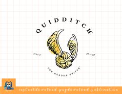 harry potter deathly hallows 2 quidditch golden snitch png, sublimate, digital download