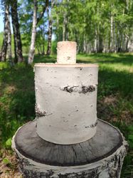 natural white birch bark box