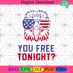 you free tonight svg, independence day svg, 4th of july svg4th of july america svg, happy 4th of july svg, firework svg,