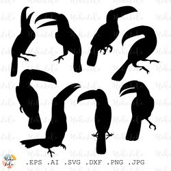 toucan bird svg, toucan cricut svg, toucan silhouette, toucan stencils dxf, toucan template svg, clipart png, birds svg