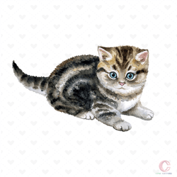 scottish fold svg, pet svg, animal svg, trending svg, spotted cat, watercolor illustration of pet svg, scottish fold cat