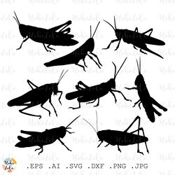 locust grasshopper svg, locust grasshopper silhouette, insects svg, insects templates dxf, locust grasshopper cricut