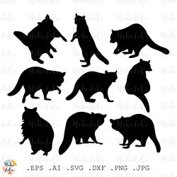 raccoon svg, raccoon cricut, raccoon silhouette, raccoon templates dxf, raccoon clipart png, raccoon stencil svg