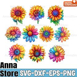 sunflower flower rainbow lgbt clipart svg,gay pride svg,lgbt day svg,lesbian svg,gay svg,bisexual svg,transgender svg,qu