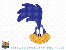 looney tunes road runner big face png, sublimation, digital download