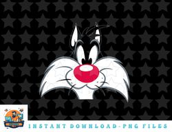 looney tunes sylvester face png, sublimation, digital download