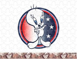 looney tunes tweety bird fourth of july americana circle png, sublimation, digital download
