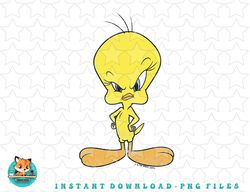 looney tunes tweety bird raised eyebrow distressed png, sublimation, digital download