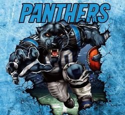 carolina panthers png, nfl teams, nfl png, american football png, panthers png, clipart bundle, cutting file