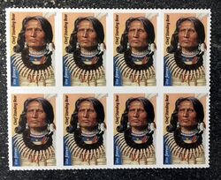 100 chief standing bear 2023 unused us forever first class flowers wedding invitation celebration anniversary envelope g