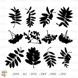 ashberry svg, ashberry leaves dxf, ashberry tree silhouette, ashberry stencil dxf, ashberry cricut, ashberry templates