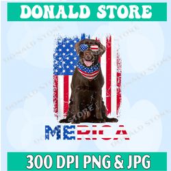 cute merica chocolate lab & usa flag sunglasses 4th of july png, dog with sunglasses 4th of july svg, eps, png, dxf