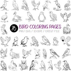 bird svg | png, coloring book for kids, pages for adults, eagle, peacock, penguin, flamingo, hummingbird, owl, swan